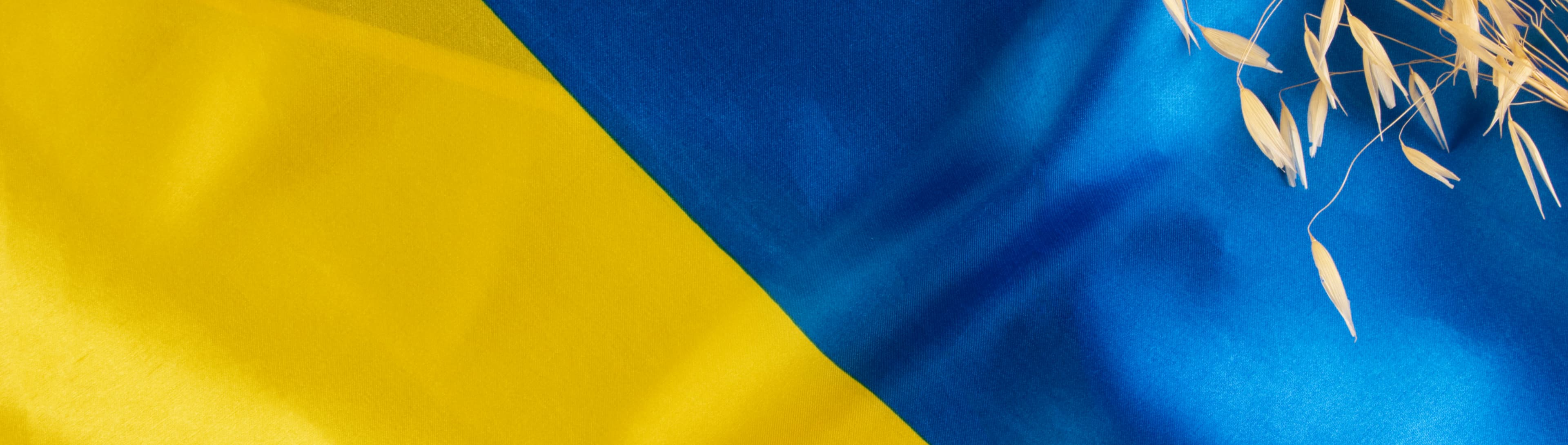 Ukrainian flag